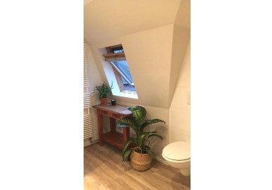 Stucwerk etc. in badkamer